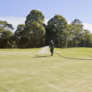 Watering in greens