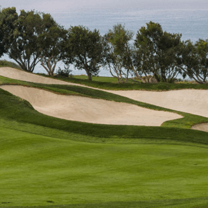 Golf Club
